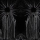 Ascent feat Yungmaple Single