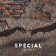 Special Single