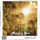 Missing You feat Feeno Lil Flako Single
