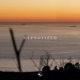 Hypnotized Single
