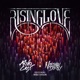 Rising Love feat Mike Taylor Single