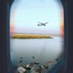Fly In Single