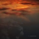 Lion and Tiger Single