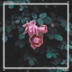 Promise Single