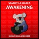 Awakening Single