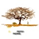 D Single