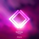 Syntropy Single