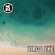 Birds Eye Single