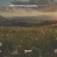 Sensitive Lights Taylan Remix Single