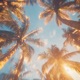 Meet Me Halfway Single