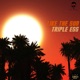 Like The Sun Single