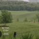 In The Rain Single