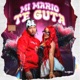 Mi Mario Te Guta Single
