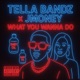 What You Wanna Do feat Jmoney Single