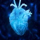 Cold Heart Single