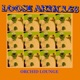 Orchid Lounge EP