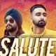 Salute feat Amantej Hundal Single