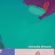 Miracle Dream Single
