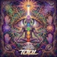 Tool Single