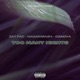 Too Many Nights feat Icenova kagarara24 Single