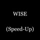 Wise Speed Up Single
