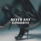 Never Say Goodbye Single