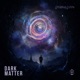 Dark Matter Single