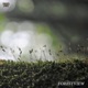 Forestview Single