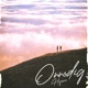 Onnodig Single