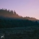 sketches Single