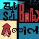 Sat Sri Akal Baby Vib9 Remix Single