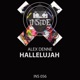 Hallelujah Single