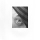 Gira Gira Coffintexts Locura Mix Single