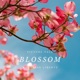 Blossom Single