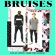 Bruises feat Abhi the Nomad Single