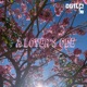 A Lovers Ode Single