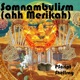 Somnambulism Ahh Merikah feat Shellray Single