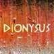 Wandering Dionysus Single