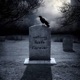NOTHING LASTS FOREVER
