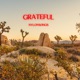 Grateful Single