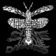 We Shine In the Darkness Single