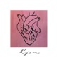 Kjemi feat Chris Brun Leo TheFunkyLion Single