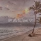 Palmy Single