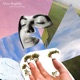 Shine Brightly feat Chiquita Magic Single