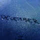 December Single