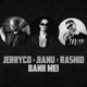 Banii Mei feat Jianu Rashid Single