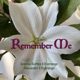 Remember Me Single