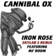 Iron Rose Skylab 3 Remix feat MF Doom Single