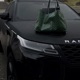 Goyard Single