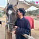 Gitana Mia Single